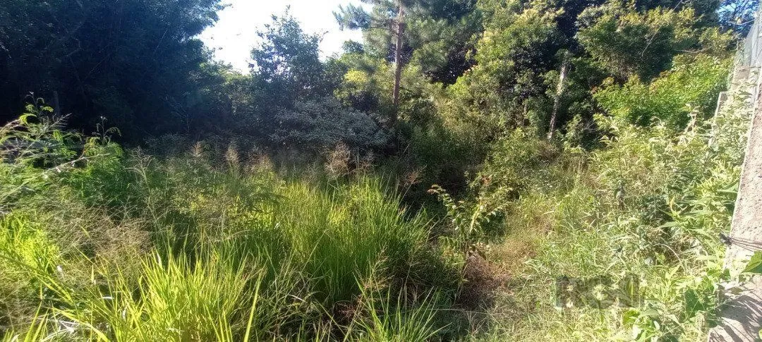 Imagem Terreno em Nonoai