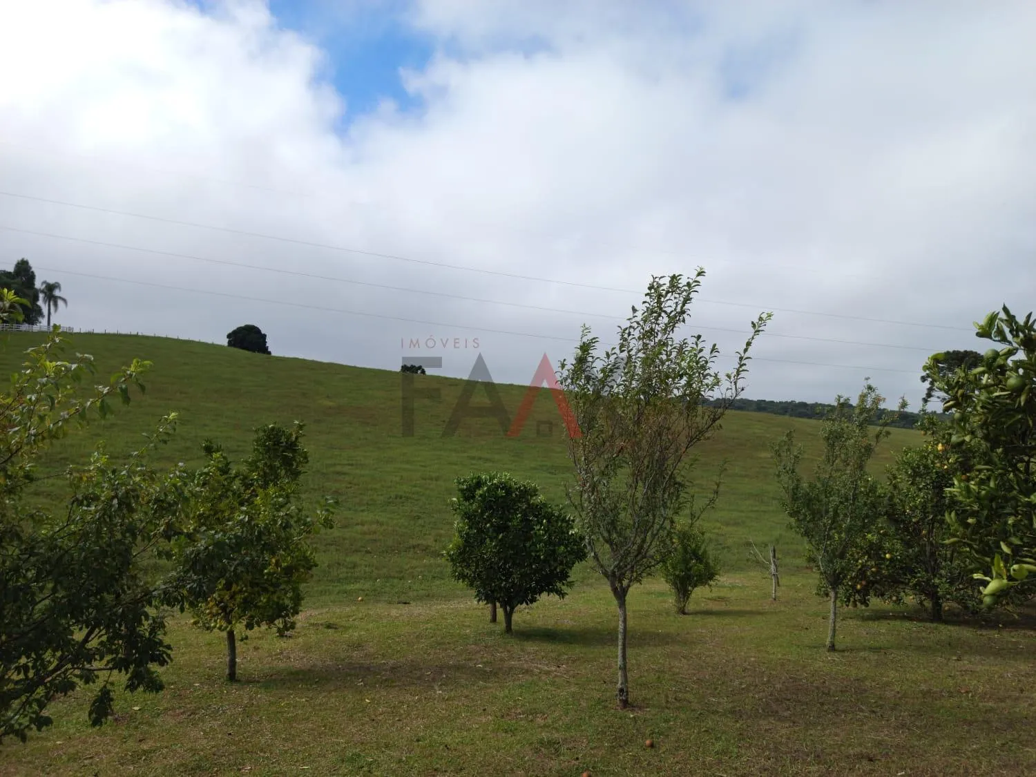 Imagem Chácara com 2.1 alqueires à venda, Guairacá, GUARAPUAVA - PR