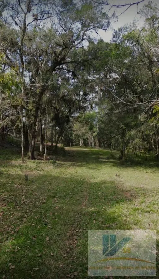 Imagem Chácara para Venda em São José dos Pinhais, Contenda