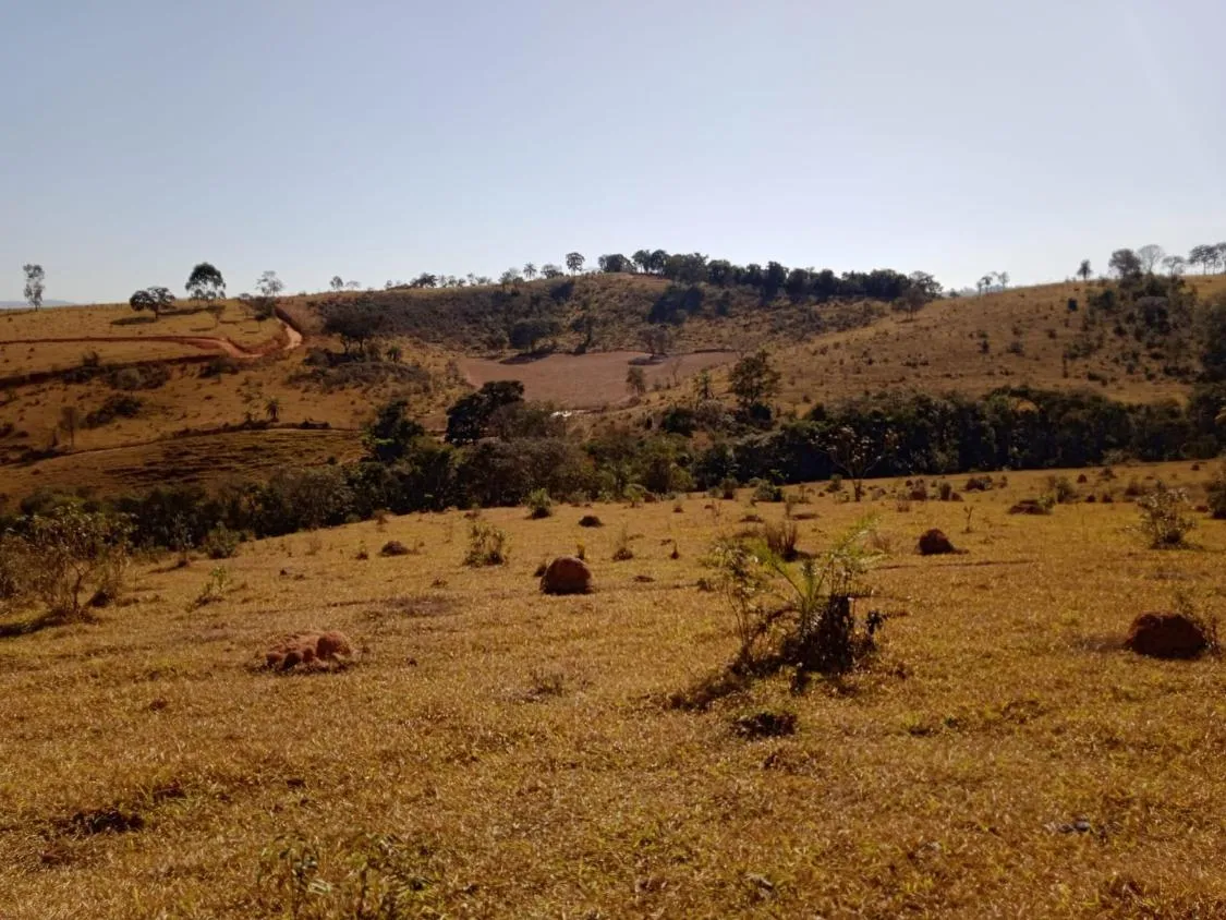 Imagem Vendo Excelente Fazenda em Bonfim/MG 90 hectares de terra