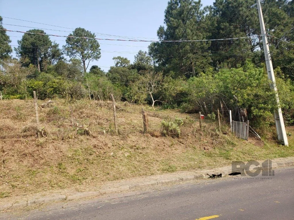 Imagem Terreno em Vila Nova