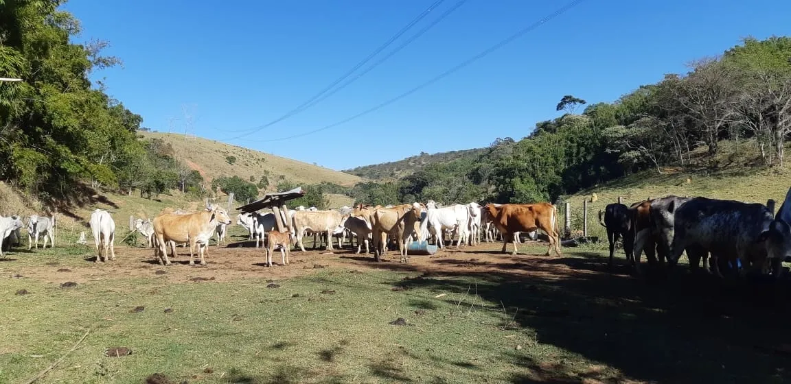 Imagem Chácara à venda 484000M², Cruz Pequena, Pindamonhangaba - SP