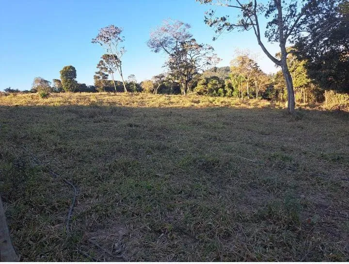 Imagem Vendo uma excelente chácara em Itaguara/crucilandia com 2 hectares (20.000 m²),