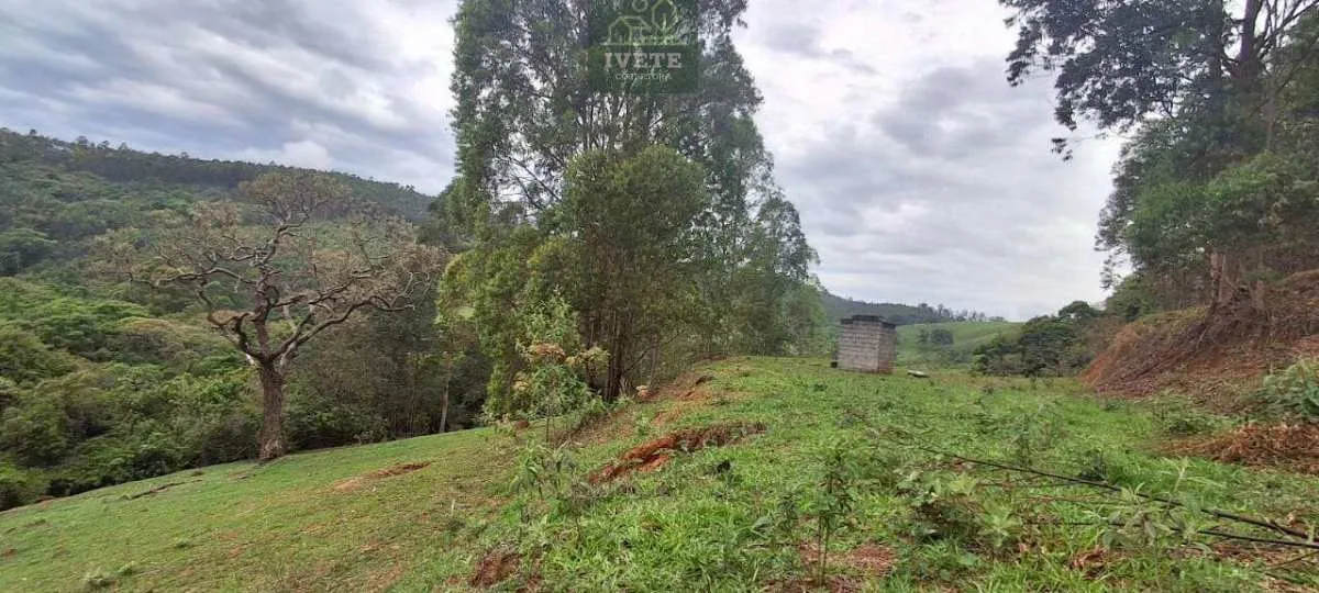 Imagem Ampla Área à Venda no Bairro da Lagoa - Socorro/SP