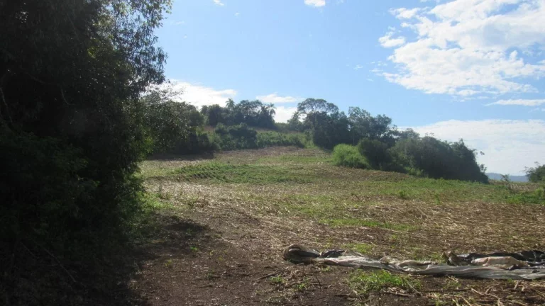 Imagem Área Agrícola para Venda em Concórdia, Barra do Pinhal