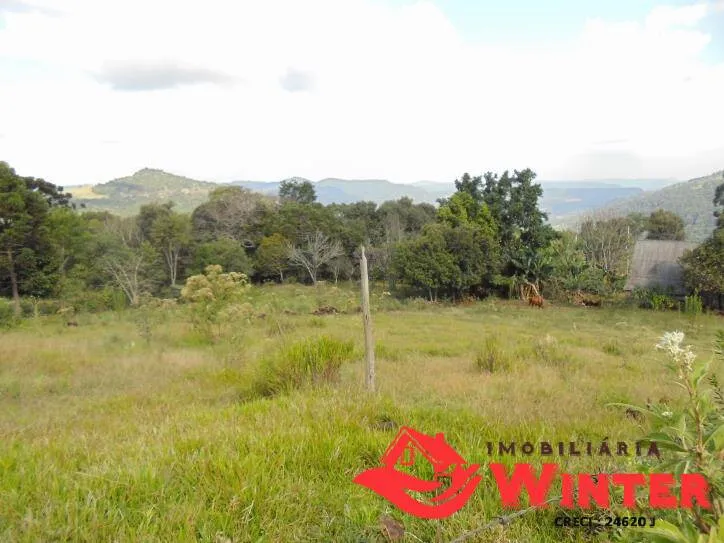 Imagem Bela chácara com 15 hectares no Morro Gaúcho, Vale Real.