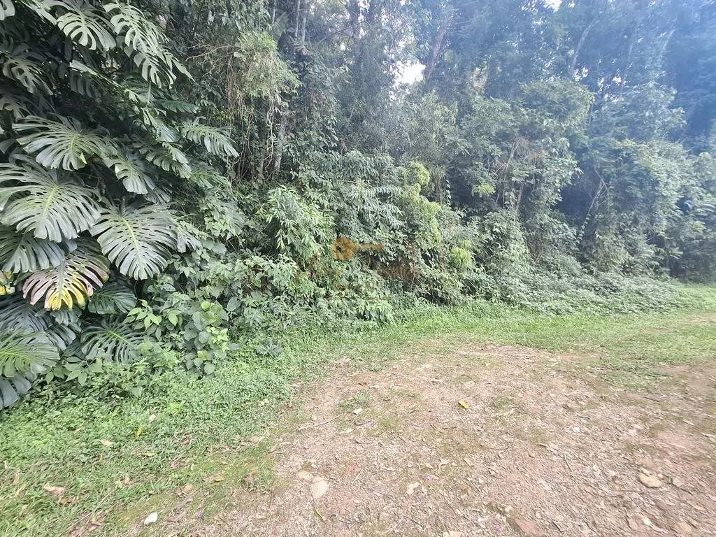 Imagem Terreno para Venda em Teresópolis / RJ no bairro Albuquerque