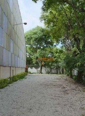 Imagem Galpão para alugar, 2305 m² por R$ 124.945,00/mês - Parque Novo Mundo - São Paulo/SP