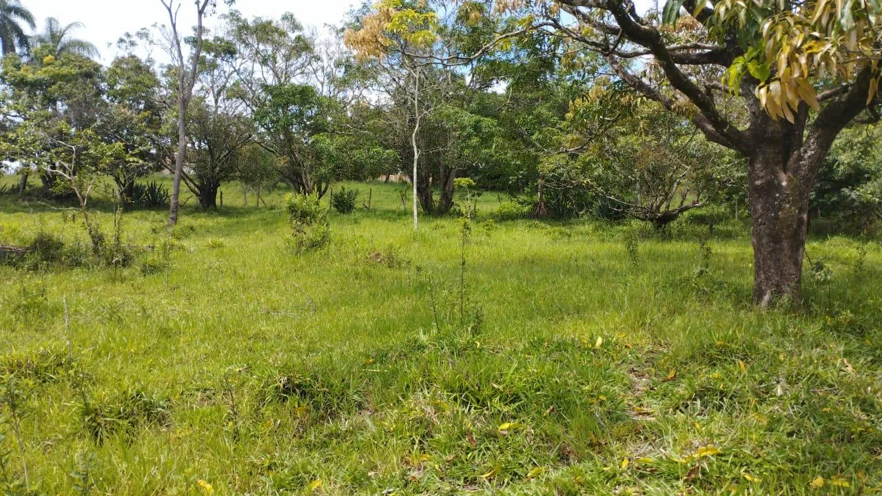 Imagem Terreno à venda em Betim/MG com 25.000 m² valor R$ 650.000,00