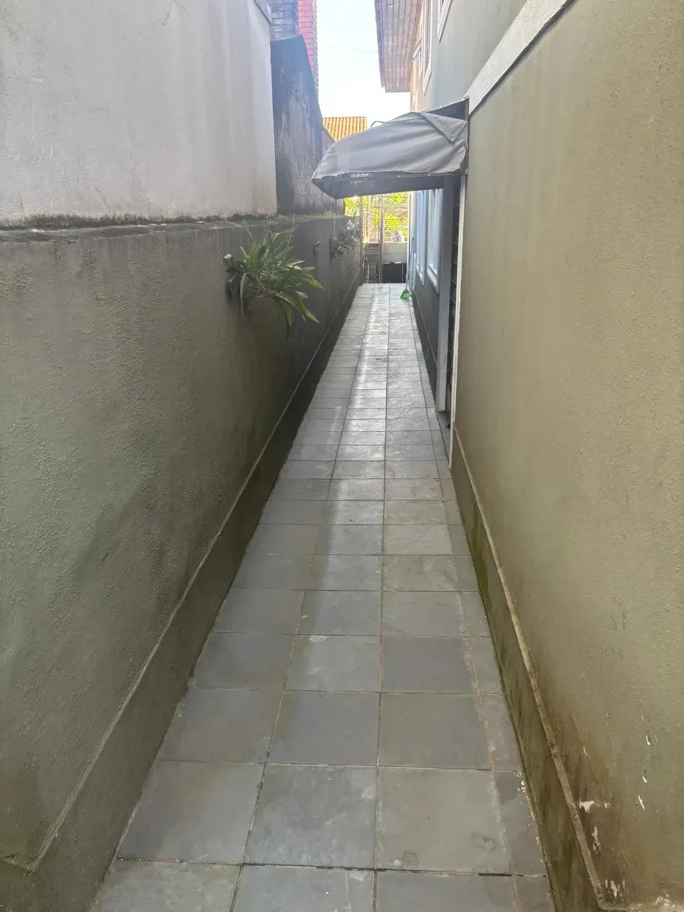 Imagem Casa com 4 Quartos para Alugar, 55 m² em Vila Sônia - São Paulo