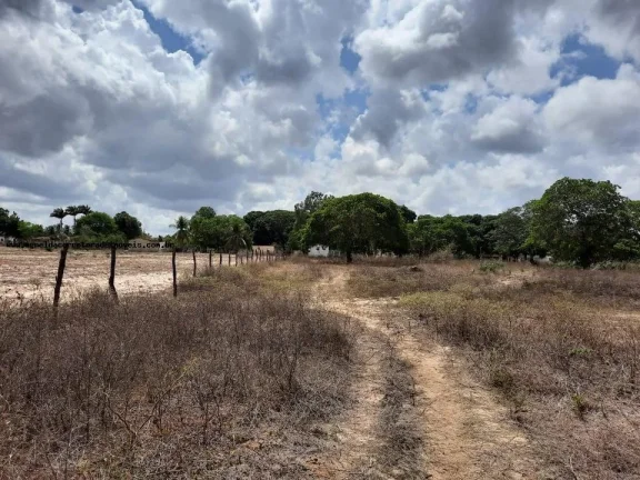Imagem Granja para Venda em Macaíba, Centro