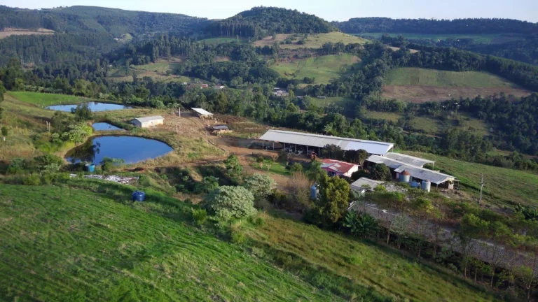 Imagem Área Agrícola para Venda em Concórdia, Interior