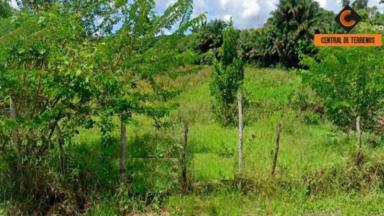 Imagem TERRENO EM GOES CALMON