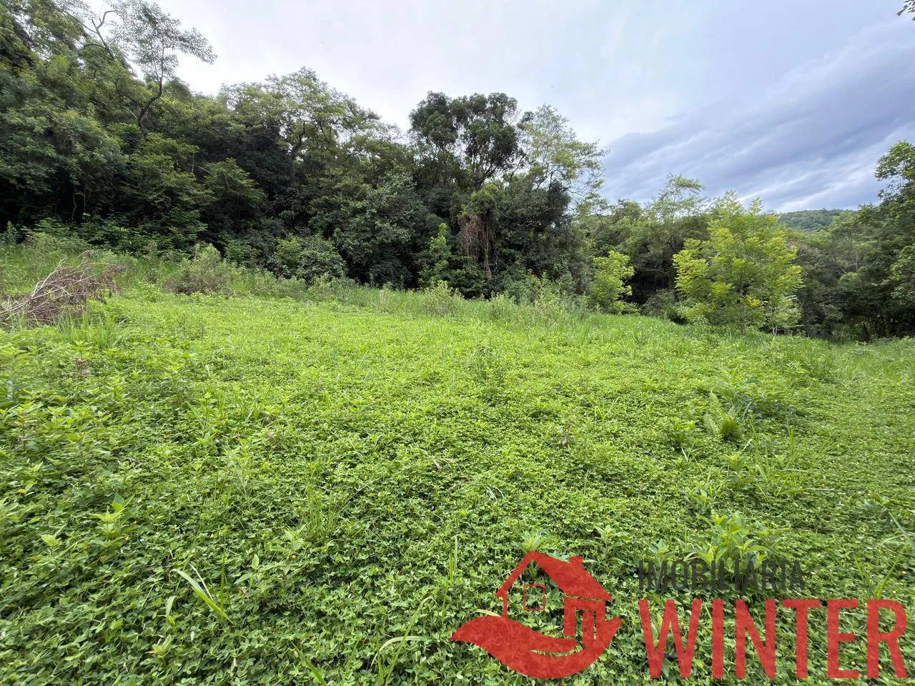 Imagem Area com 10.571 m2 no São Roque, Feliz