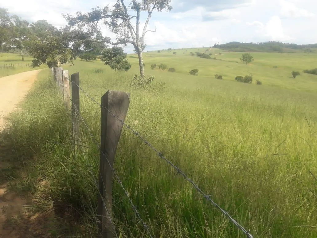 Imagem Vendo uma ótima fazenda em Passatempo 315 hectares