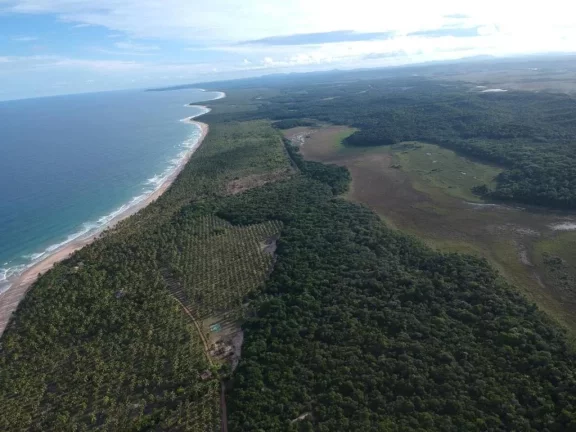 Imagem Paraíso Aibim