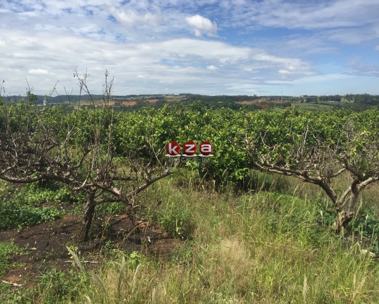 Imagem Sitio à venda em Valinhos-SP: 3 quartos, 1 sala, 2 banheiros, 46.000m² de área no bairro Macuco!