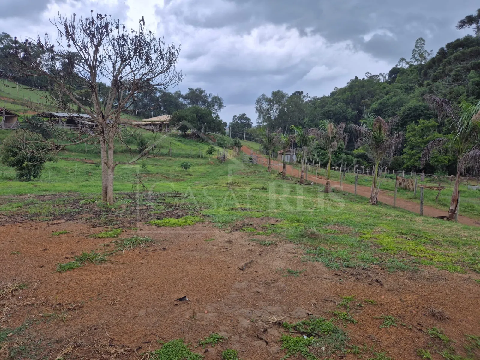 Imagem Chácara 2,4 ha à venda em Área Rural, Bandeira do Sul