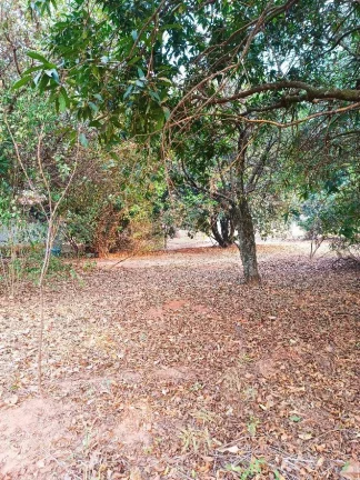 Imagem CHÁCARA A VENDA NA VICINAL DE TALHADOS