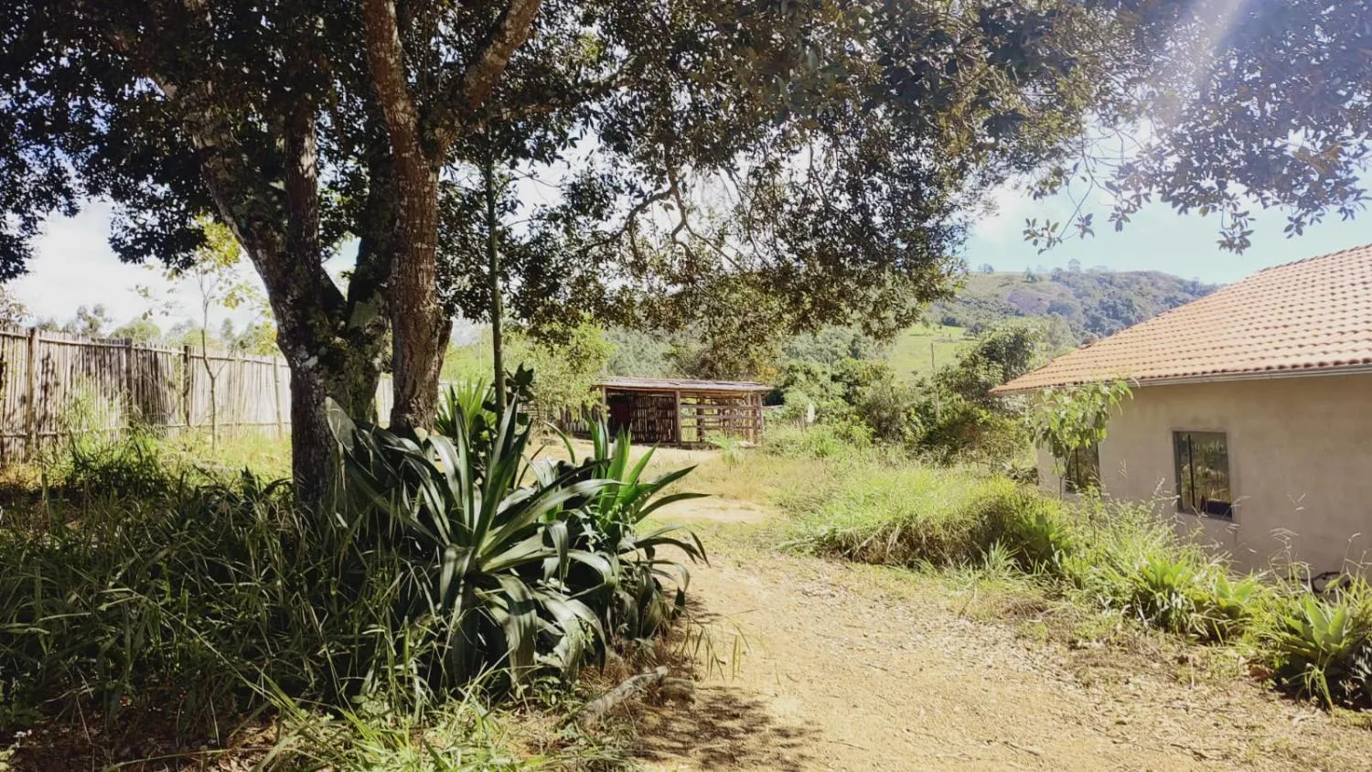 Imagem Excelente Terreno à Venda em Desterro de Entre Rios: 15 Hectares Totalmente Plano