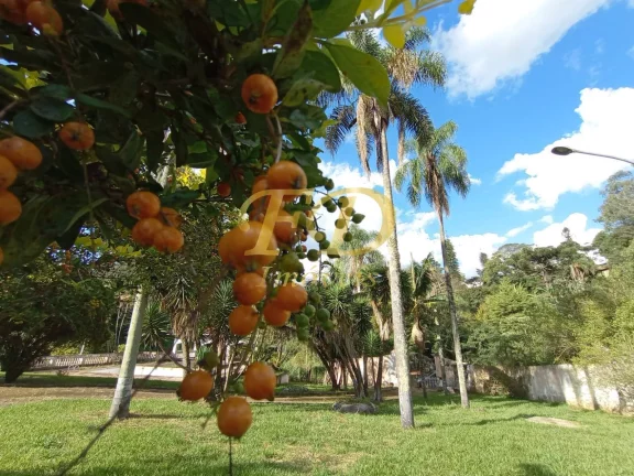 Imagem Sítio em Atibaia Bairro do Portão