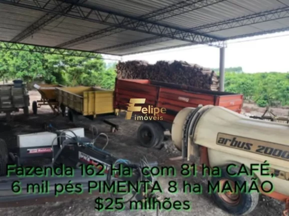 Imagem FAZENDA DE ALTO PADRÃO EM EUNÁPOLIS/BA 162 HECTARES DOCUMENTADOS 81 há de CAFÉ.