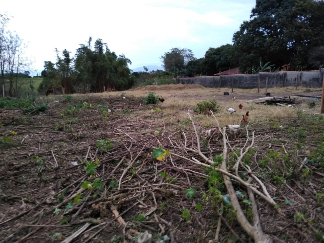Foto do imóvel Chácara à venda Água Preta, Pindamonhangaba - SP
