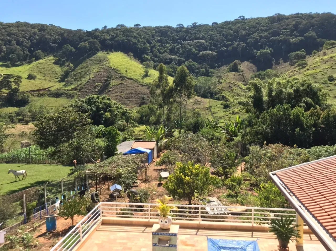 Imagem Chácara à venda 4 Quartos, 5 Vagas, Santa Luzia Rural, Taubaté - SP
