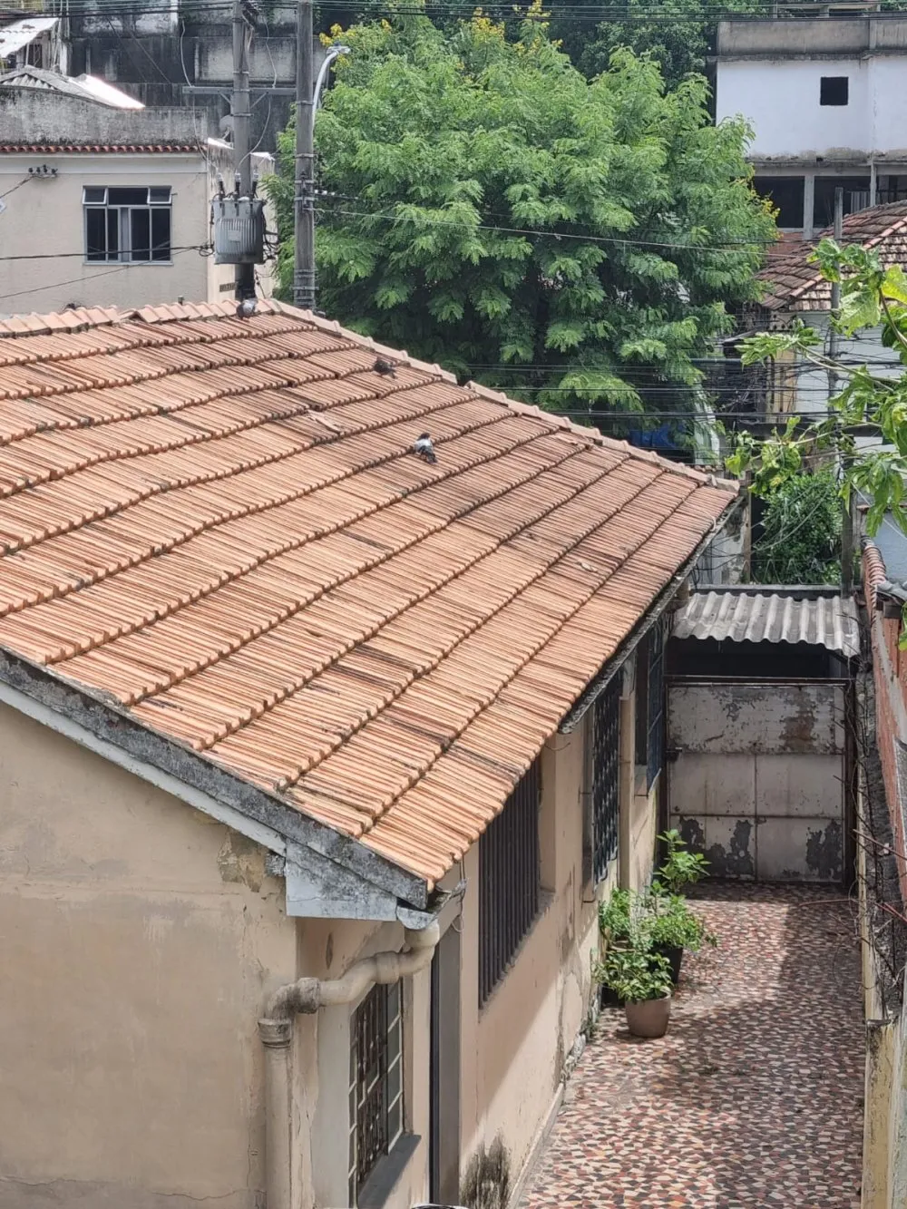 Imagem Casa a Venda no bairro Piedade - Rio de Janeiro, RJ