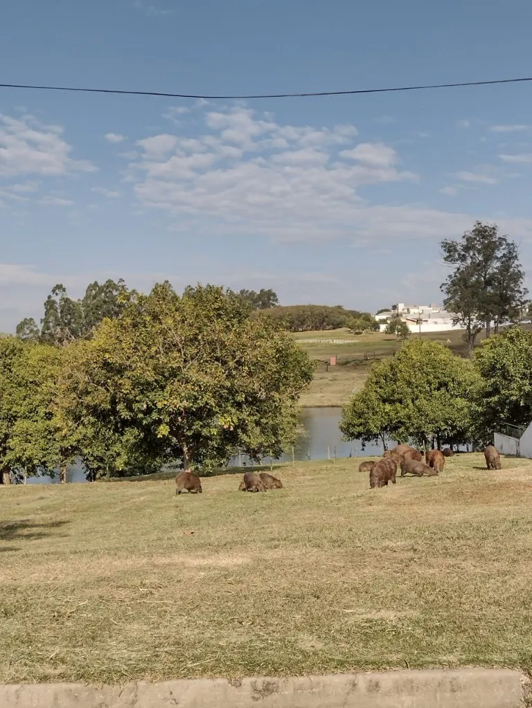 Imagem Terreno em condomínio fechado Salto de Itu-SP, terreno em Salto de Itu SP, terreno em condomínio fechado no interior de São Paulo, terreno em condomín