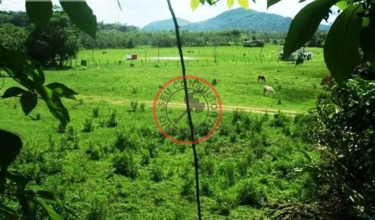 Imagem FAZENDA COM 55 MIL METROS DE AREA UTIL EM SAO SEBASTIAO