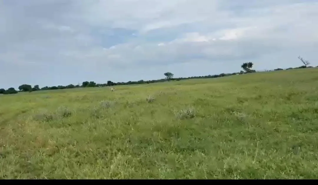 Imagem Vendo excelente fazenda em Jaíba/MG ?área total de 3.150 hectares
