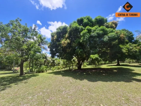 Imagem SITIO RURAL em CAMAÇARI - BA, JORRINHO