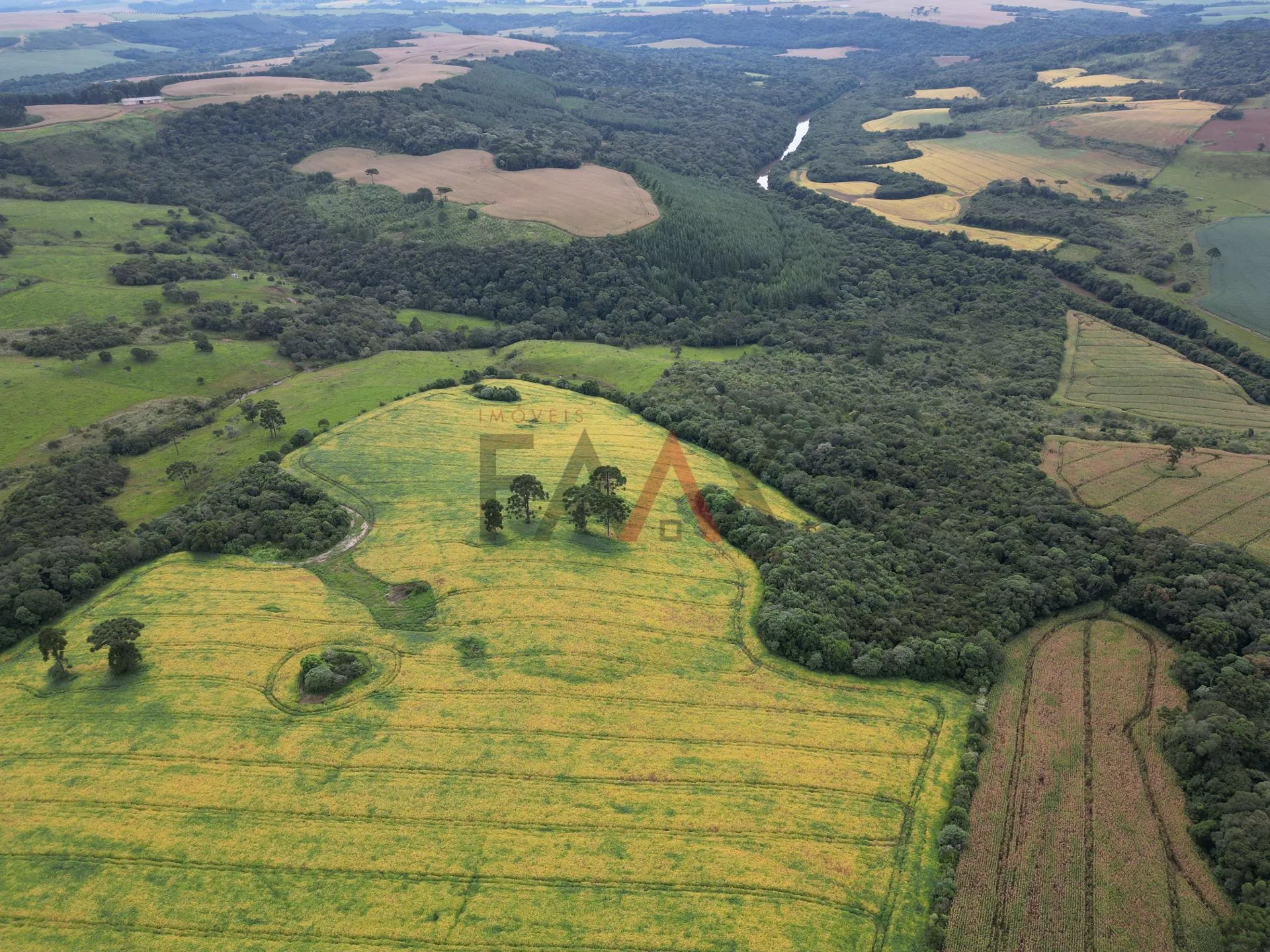 Imagem Chácara com 1.210.000,00m as margens da BR-277 em GUARAPUAVA - PR