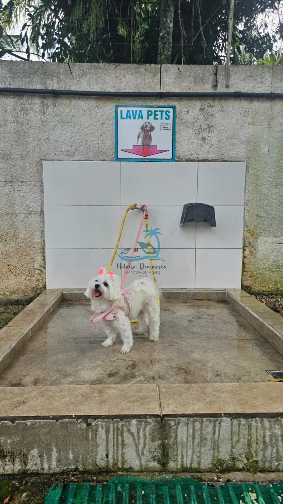 Imagem Excelente cobertura duplex a venda na orla da praia do Perequê-Açu em Ubatuba.