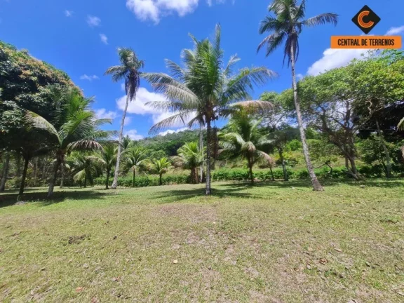 Imagem SITIO RURAL em CAMAÇARI - BA, JORRINHO