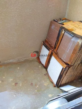 Imagem Apartamento para Locação 1 Quarto, 1 Vaga, Vila Palmares, Santo André - SP | SEM NOME - SEM NOME JUNQUEIRA