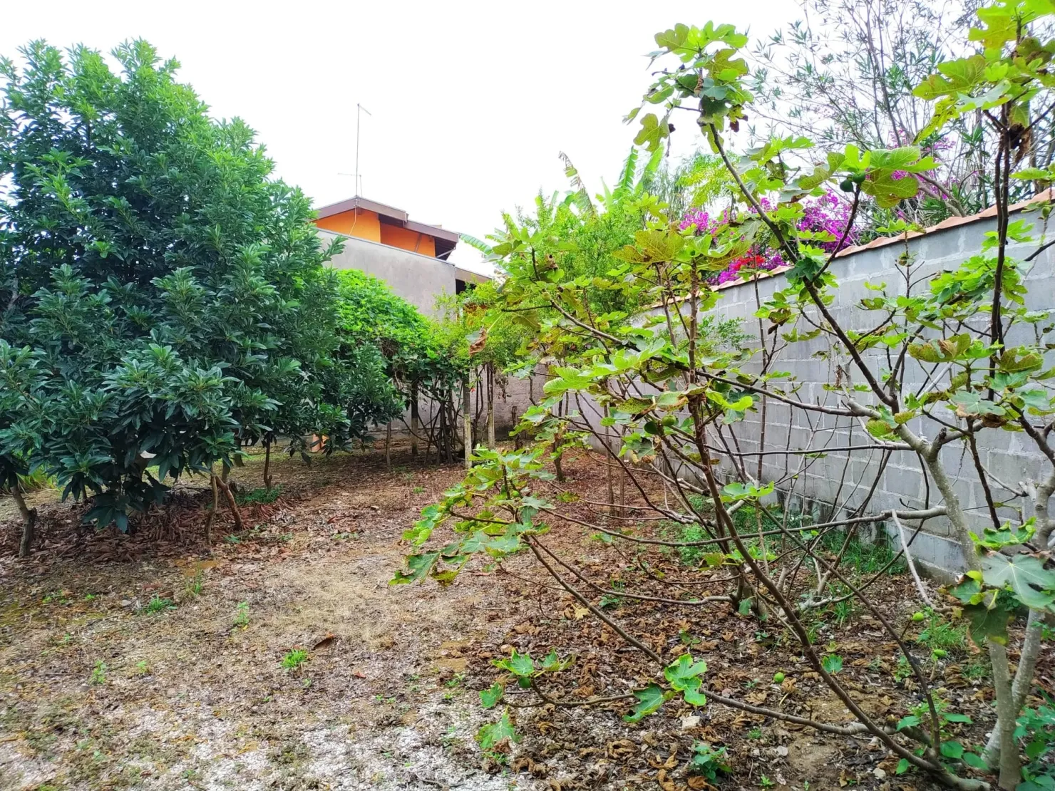 Imagem Chácara à venda 2 Quartos, 1 Suite, 5 Vagas, 2036M², Parque Lago Azul, Pindamonhangaba - SP