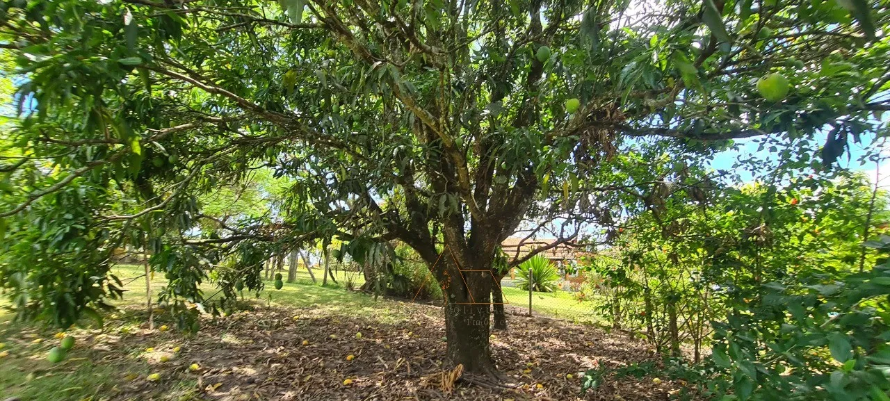 Imagem Chácara à venda em Cesário Lange-SP