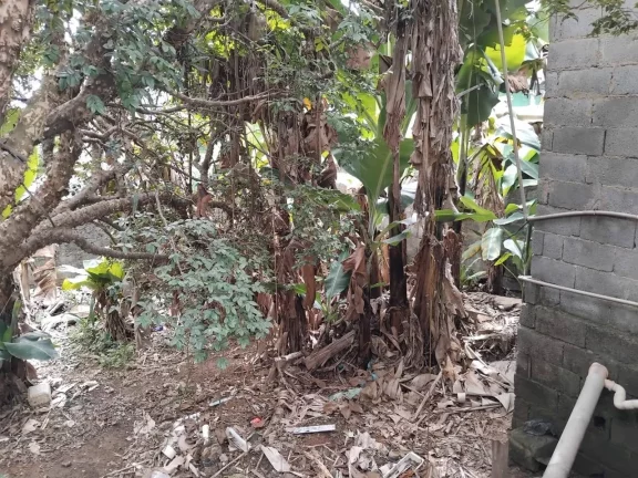 Imagem Vende se terreno em Itaquaquecetuba
