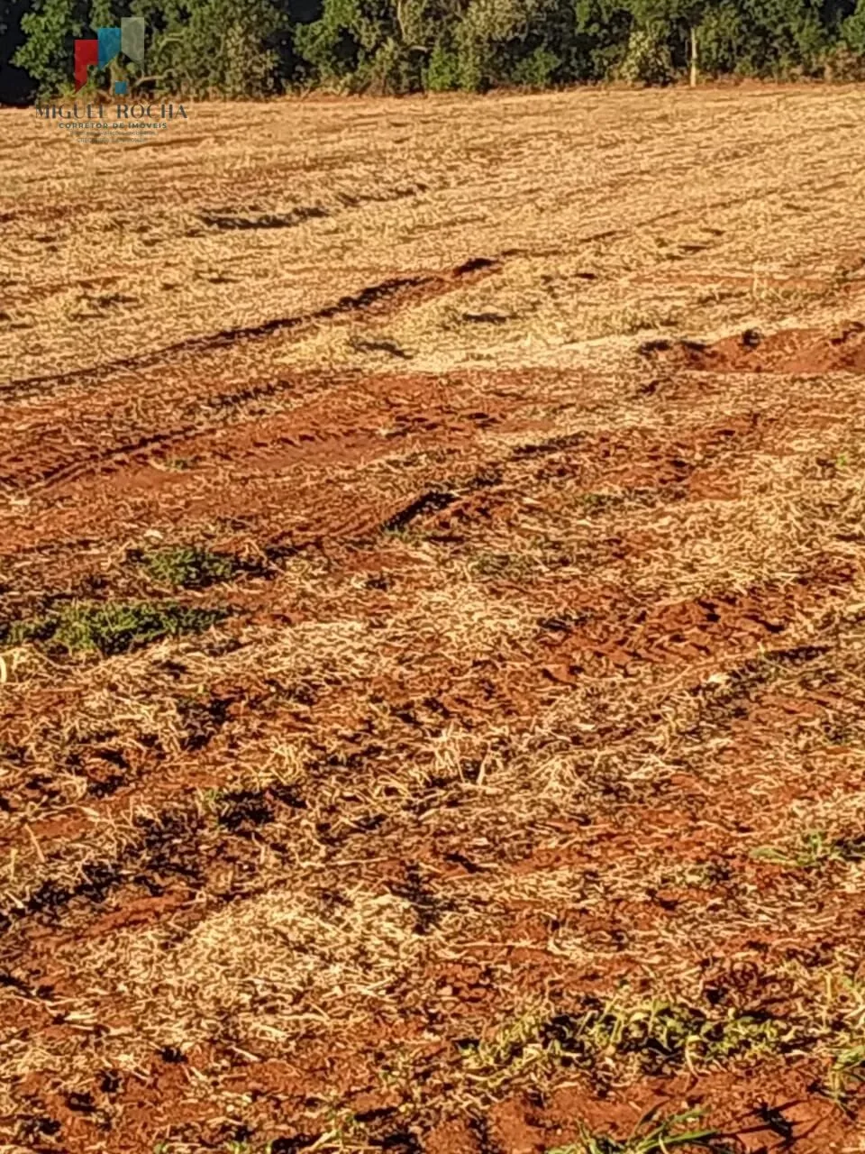 Imagem Sítio em Itapeva/SP