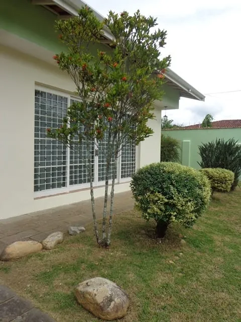 Imagem Casa para Locação 3 Quartos, 1 Suite, 3 Vagas, 600M², Centro, Pindamonhangaba - SP