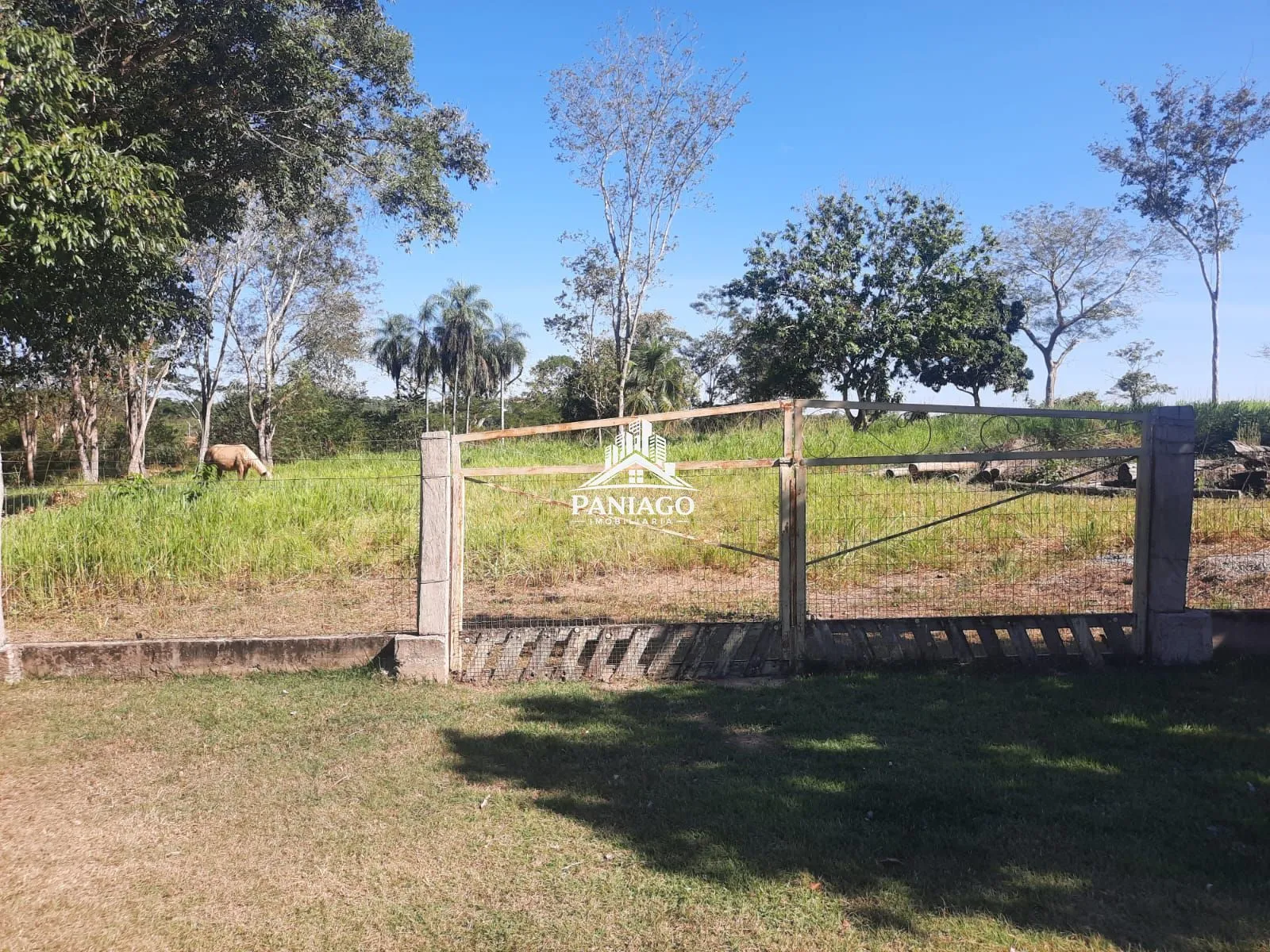 Imagem Sítio com 53.000 m² à Venda às Margens do Rio Cuiabá | Acorizal/MT