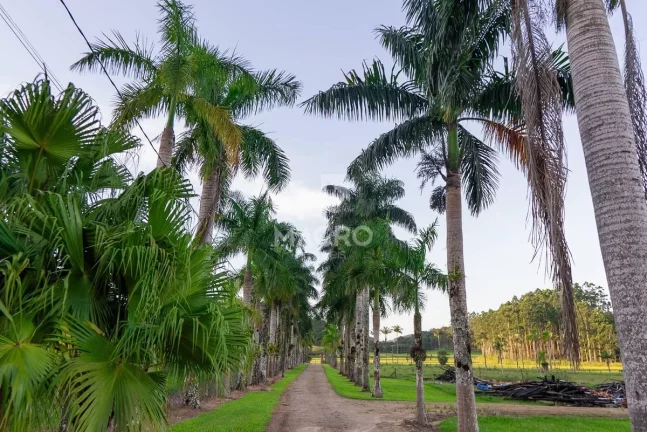 Imagem Chácara | Guaramirim (Tibagi) | 158.500m²