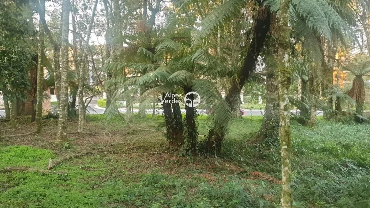 Imagem Vende-se Área com 3.995 m2 a cerca de 2 minutos da Rua Coberta