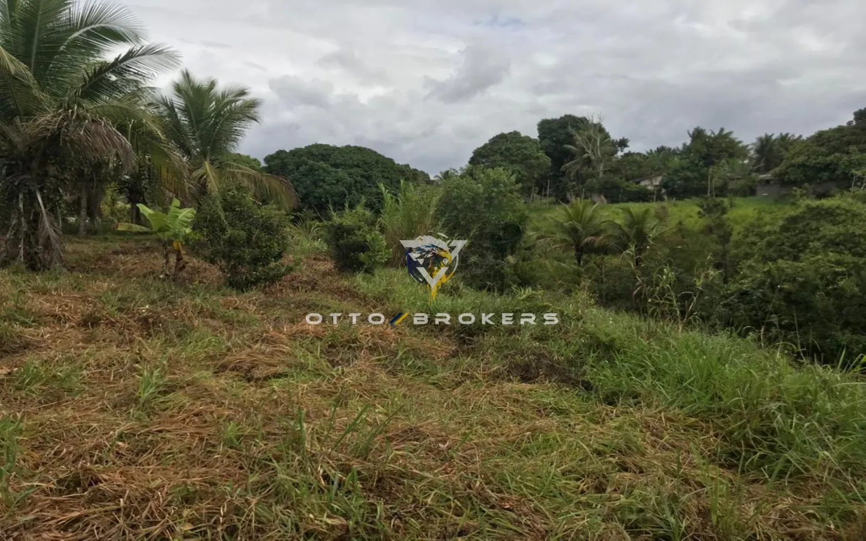 Imagem AREA RESIDENCIAL em SANTA CRUZ CABRÁLIA - BA, TÂNIA