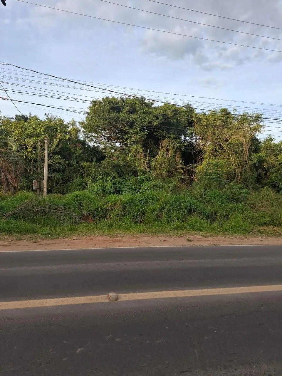 Imagem Terreno Av Edgar Pires de Castro medindo 7982,61m²