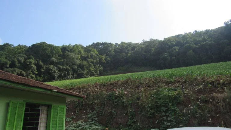 Imagem Área Agrícola para Venda em Peritiba, Lageado Mirim