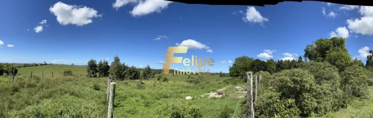 Imagem EXCELENTE FAZENDA A VENDA PORTEIRA FECHADA EM ARARUAMA/RJ.