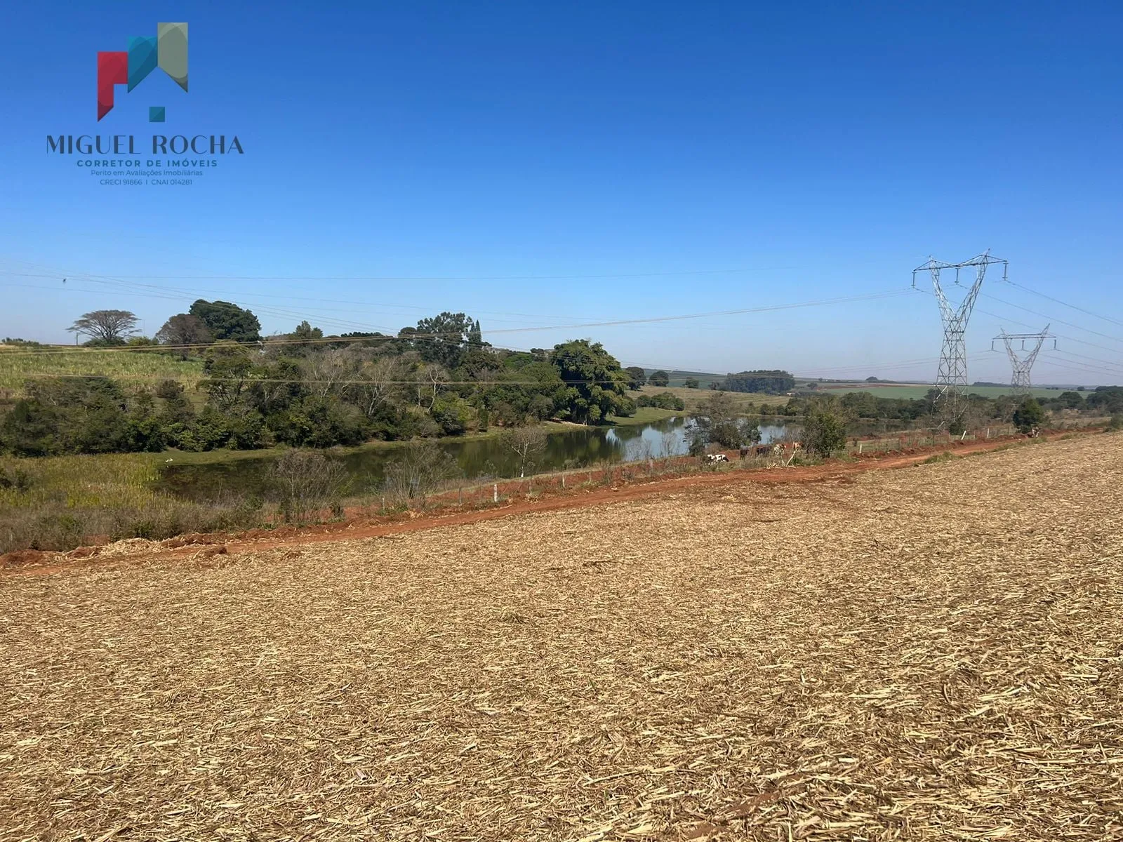 Foto do imóvel Fazenda região de Avaré SP em Braz I, Avaré - SP